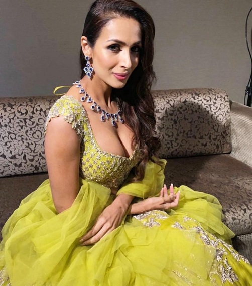 Arjun Kapoor was shocked to see the hot photo of Malaika Arora, did this comment