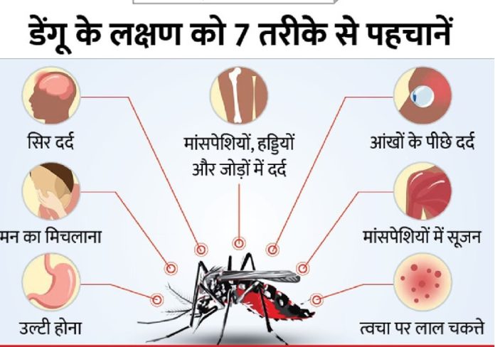 Dengue wreaks havoc in Firozabad, panic due to death of eight in a day, sick from house to house