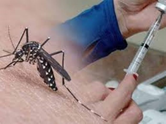 Five including four children died of dengue fever in Firozabad, not getting space in the hospital