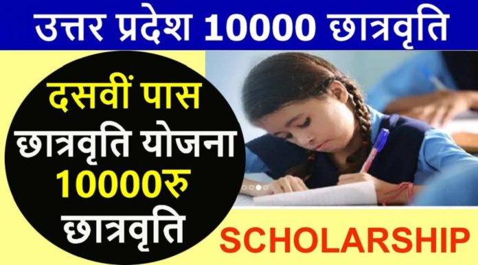 Online application date extended for scholarship in UP, here are the terms and conditions