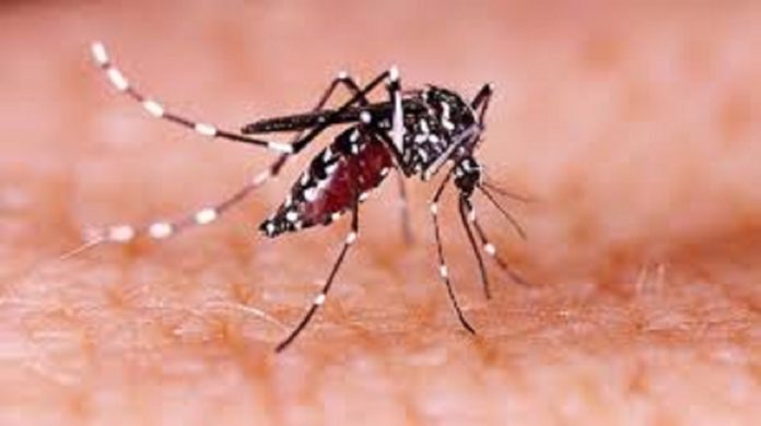 There was a stir in Kanpur due to the presence of 25 Zika virus patients, so far 36 patients were found