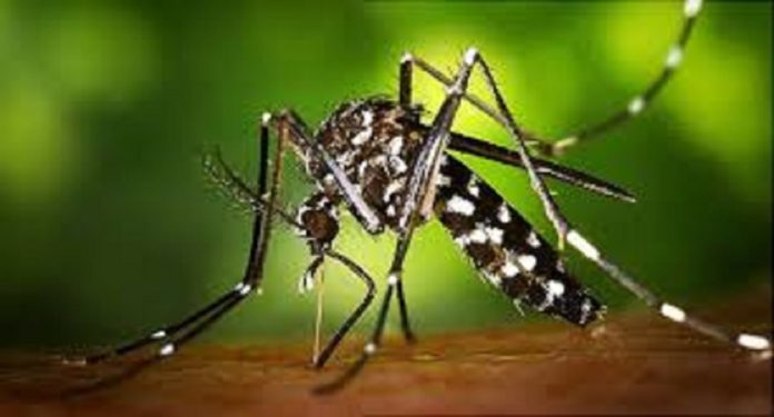 Zika virus is going viral, 16 new infected found, number of infected is 105