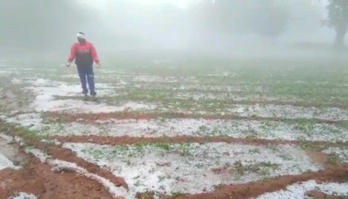 Rain and hail caused havoc in Bundelkhand, damage to crops, farmers jammed