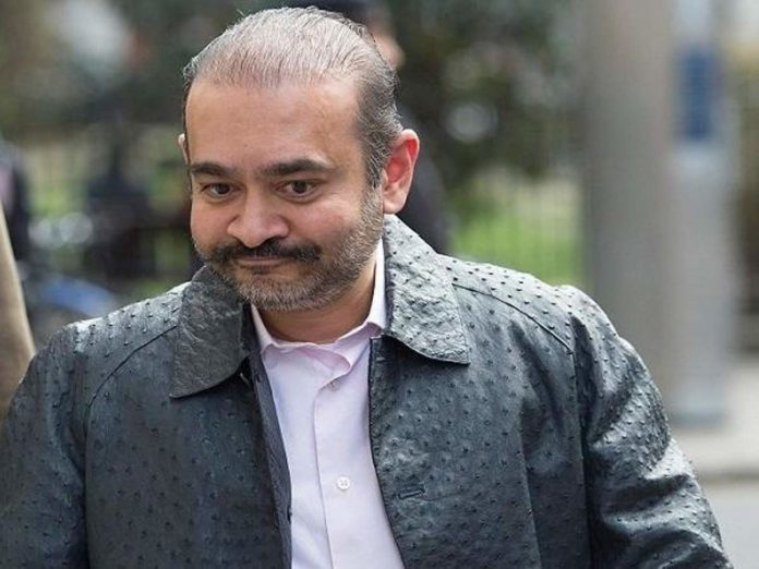 Big success in the hands of CBI, Nirav Modi's partner Shankar was brought from Cairo to Mumbai