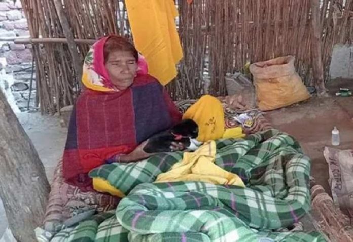 65-year-old Longshree claims she gave birth to a dog after 17 months