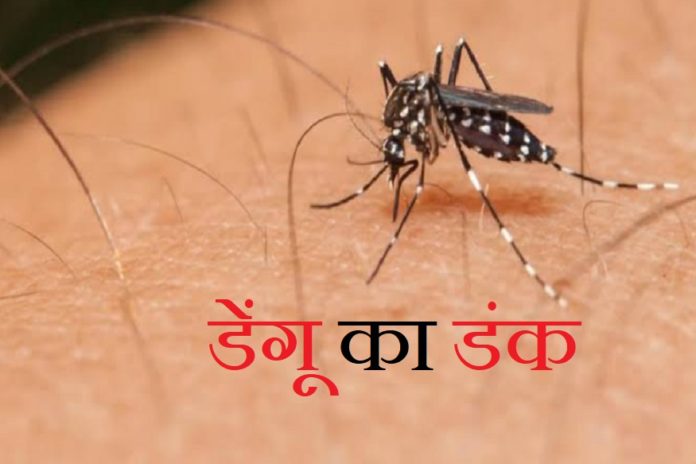 Uncontrollable dengue in Jaunpur, 390 patients found so far, know the status of the state