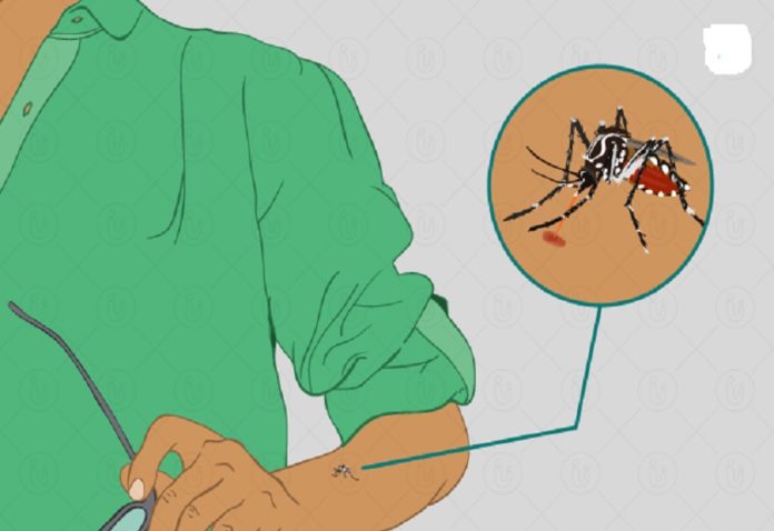 Focused strategies are necessary to win the war against malaria