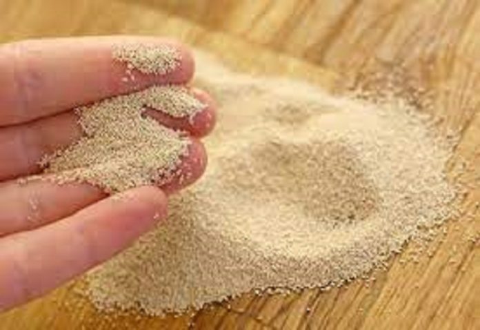 Business newsOriental Yeast India invests Rs 900 crore to set up state-of-the-art yeast plant in India