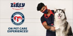 Zigli's Brand Campaign Advises Not to Compromise in Pet Care