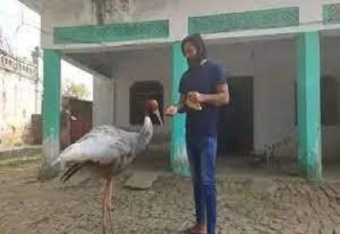 A stork is better than Azam Khan! Akhilesh held a press conference in protest.