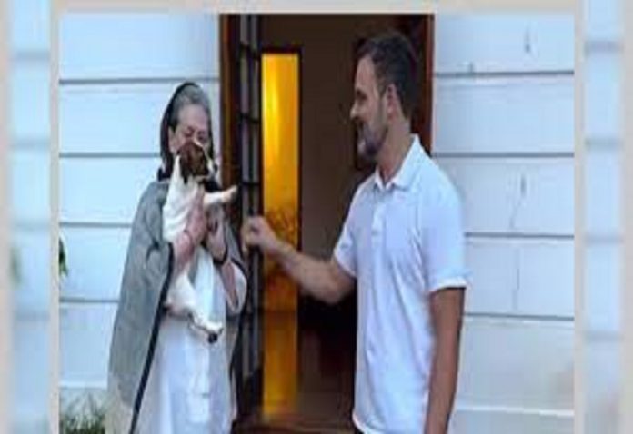 Rahul Gandhi's troubles increase again: Complaint filed in case of naming pet dog Noori