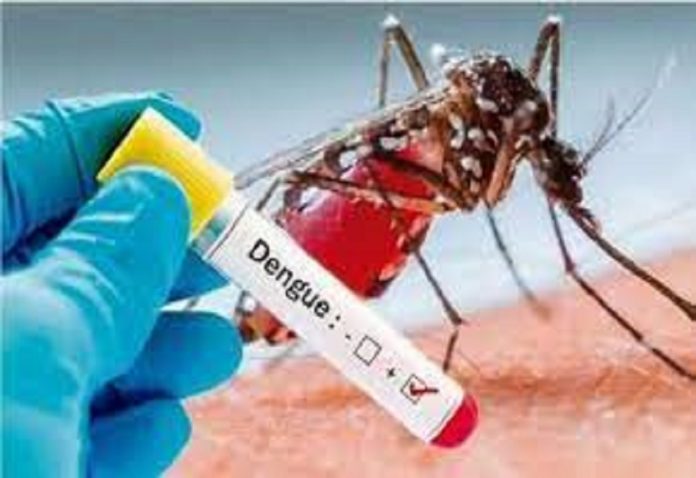 Dengue is wreaking havoc in Badaun, seven people died in 24 hours, many are in critical condition.