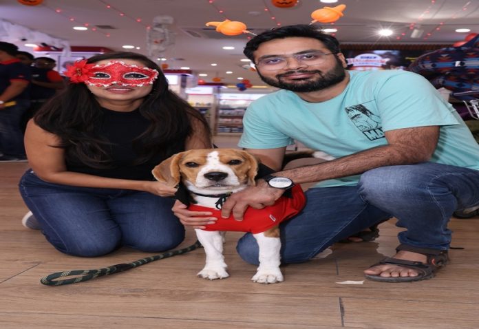 Third Halloween Carnival for Pets celebrated at Ziggly stores across the country