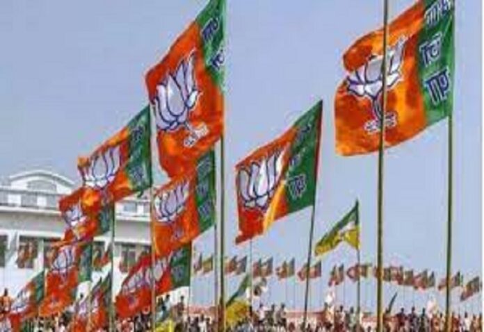 BJP announces state in-charge for Lok Sabha elections, gives responsibility of UP to Baijayant Panda