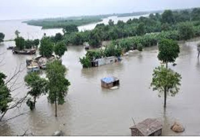 Flood havoc in Bihar: Eight people including a couple were washed away in the flood, water is causing havoc in many villages.