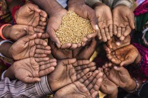 Worrying: 295 million people in 53 countries of the world are struggling for one meal a day