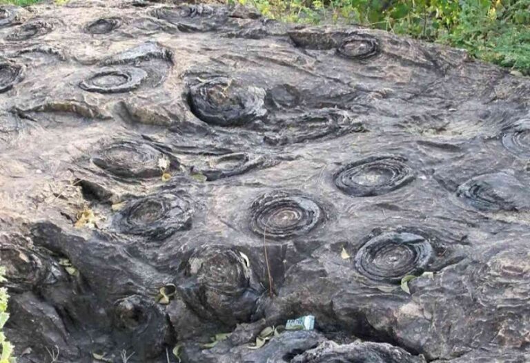 Sonbhadra: Fossils Park located in Salkhan can be included in the permanent list of UNESCO, the government has accelerated the process