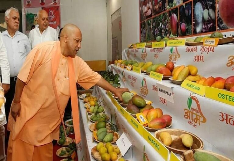800 varieties of mangoes arrived in Aam Mahotsav, Chief Minister flagged off the container to London