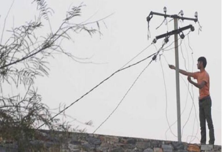 UP honest thief: Who asked for permission to steal electricity to save buffalo from mosquitoes and flies