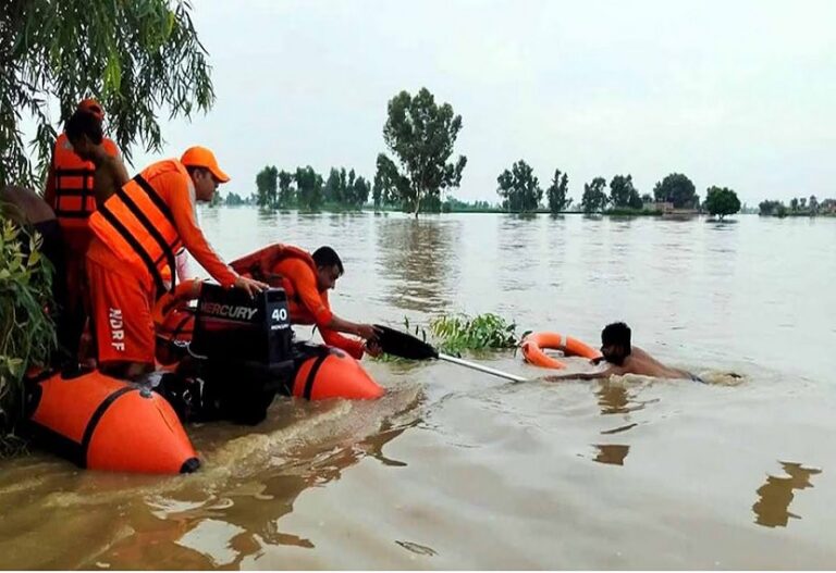 # Devastation due to floods Rain and floods wreaked havoc in many states including Punjab and Haryana, many deaths, crops and animals affected