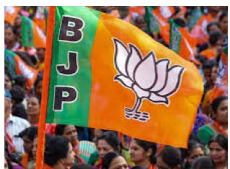 Initial trends show BJP alliance leading in 66 seats, Thackeray brothers may face setback