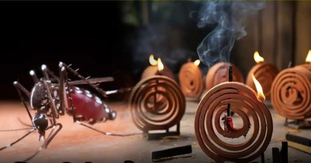 Maharashtra has become the largest market for illegal mosquito-repellent incense sticks in western India, raising fears of a serious health crisis.