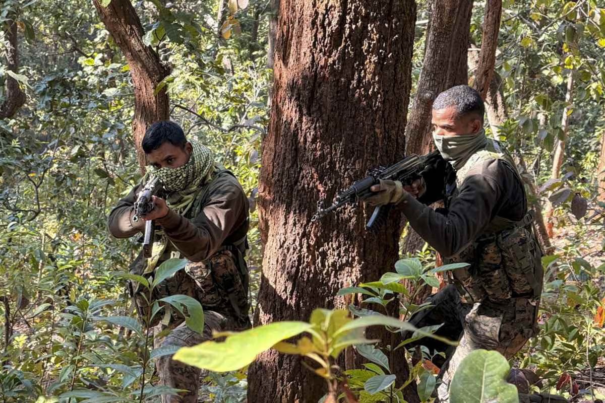 Security forces killed five Naxalites in Bijapur forest and destroyed 214 hideouts.