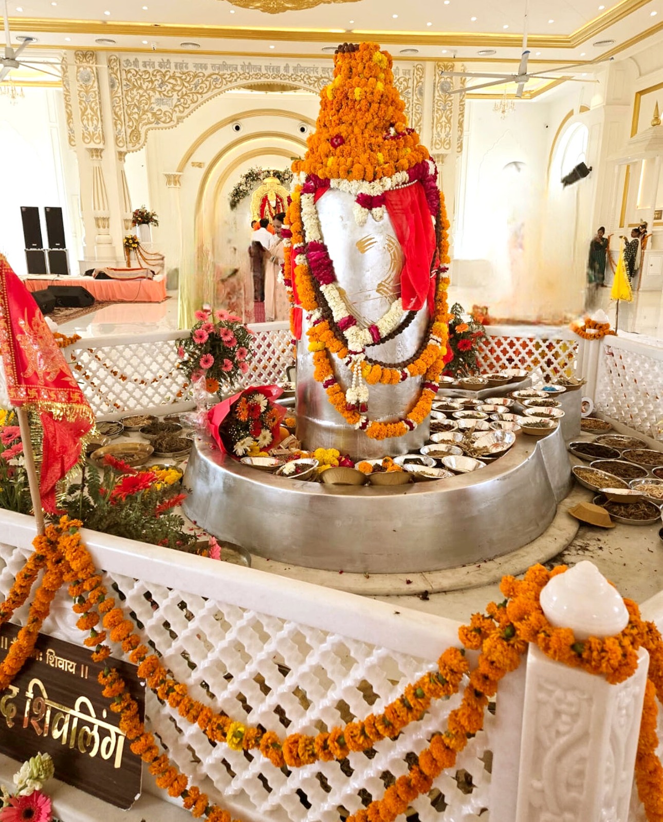 World-renowned 5,211 kg Mercury Shivling installed in Haridwar.