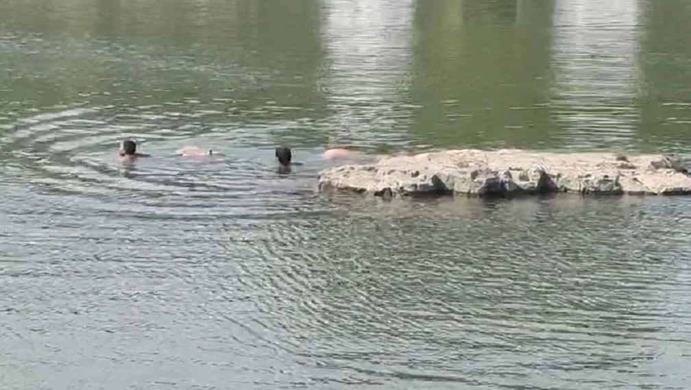 Five members of a family drowned in Jhansi while trying to save one person during *Shradh* rituals; the incident has caused an outcry.